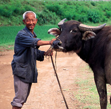 小型飼料顆粒機(jī),農(nóng)民圓夢！