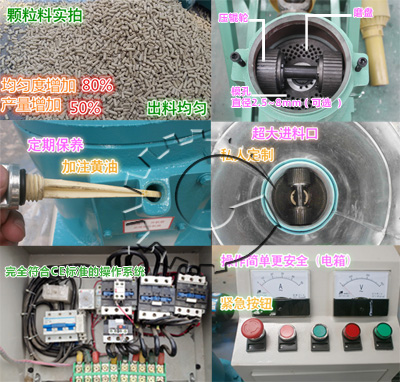 飼料顆粒機(jī)結(jié)構(gòu)細(xì)節(jié)圖