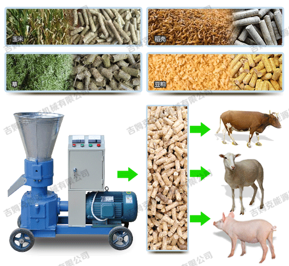 秸稈顆粒機壓制牛羊豬飼料顆粒過程